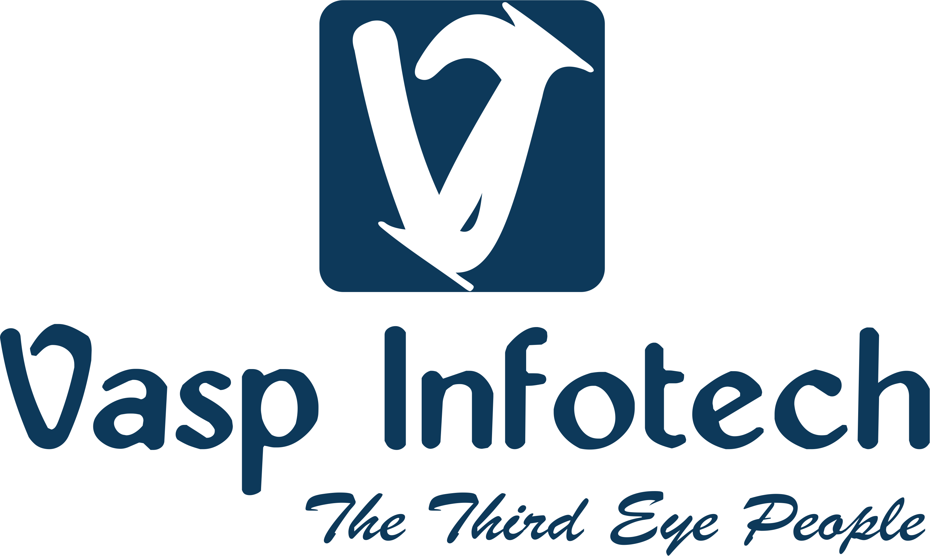 Vasp Logo